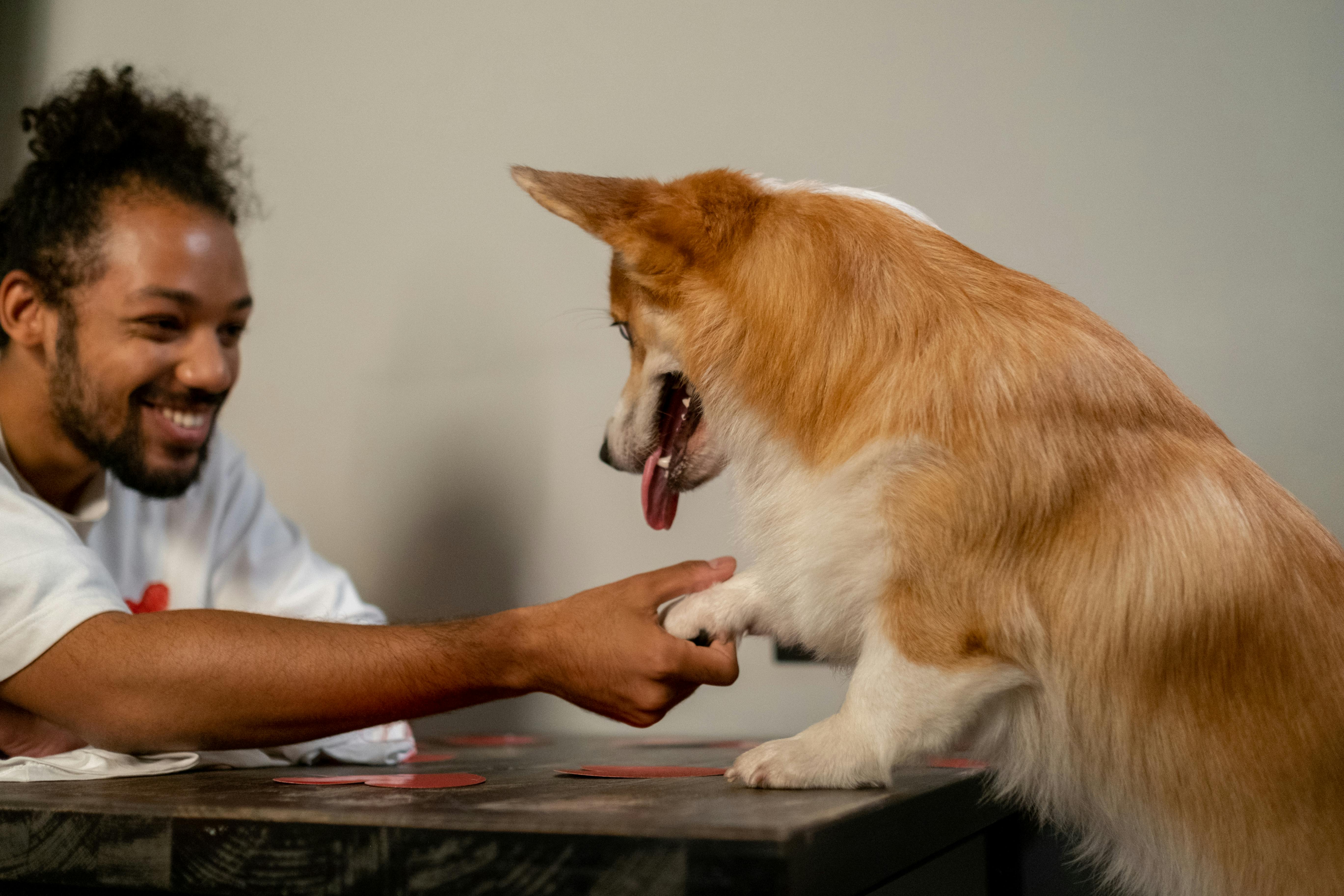 How Long Ashwagandha Takes to Work