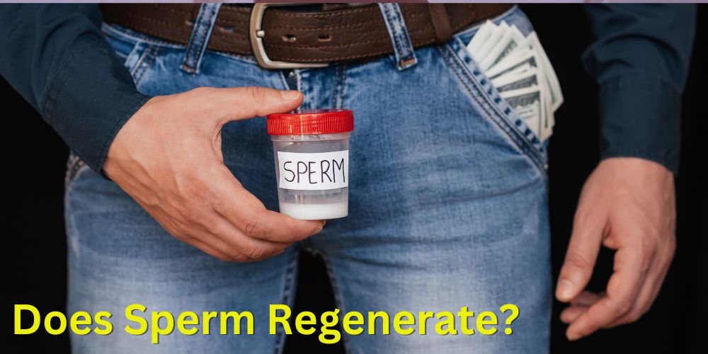 Smart Ways to Optimize Sperm Replenishment After Ejaculation in 2025