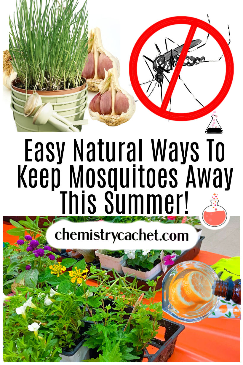 Smart Ways to Keep Mosquitoes Away in 2025: Proven Tips to Succeed