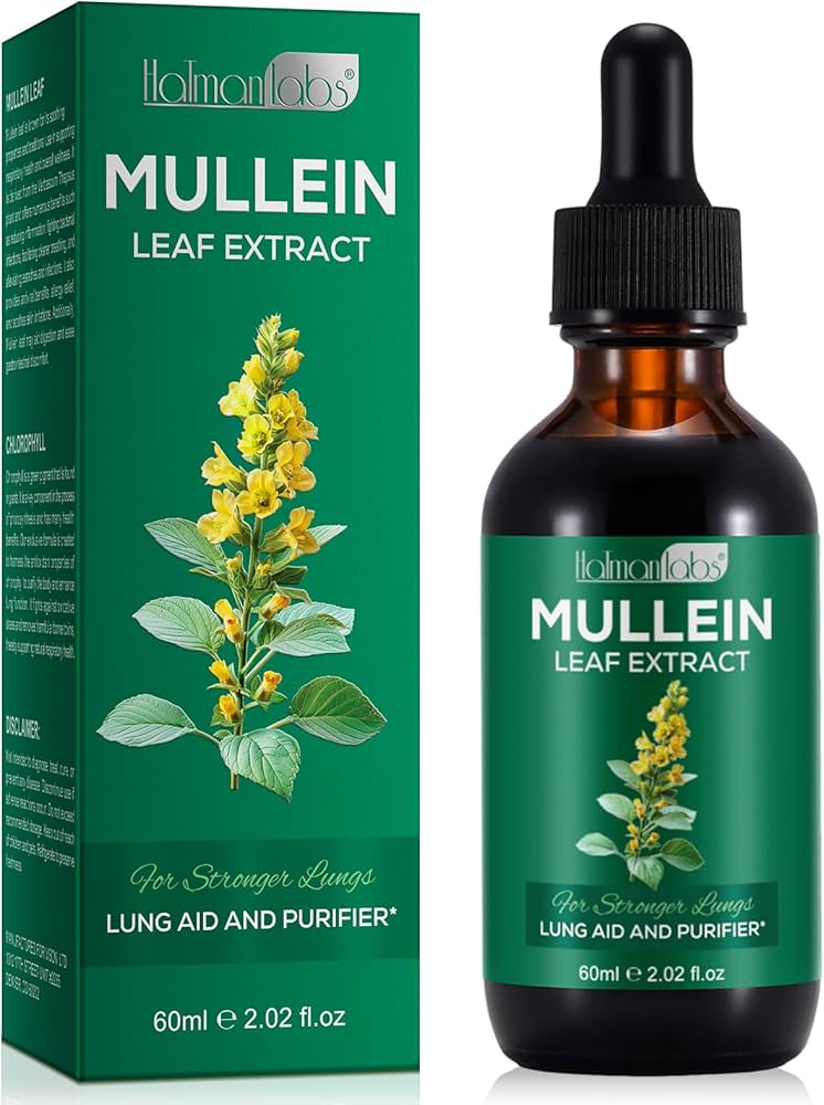 How to use mullein for lungs