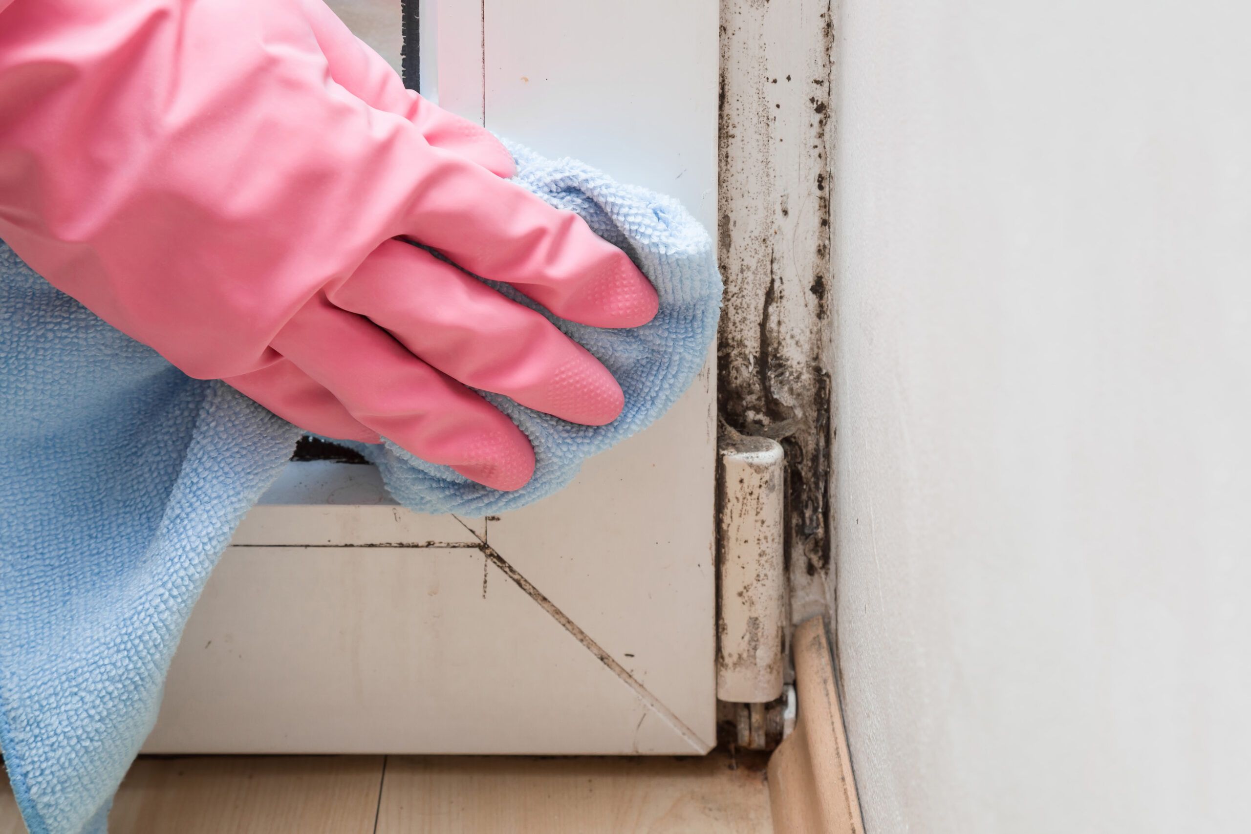 Effective Ways to Kill Black Mold in Your Home This 2025: Don’t Let It Spread!