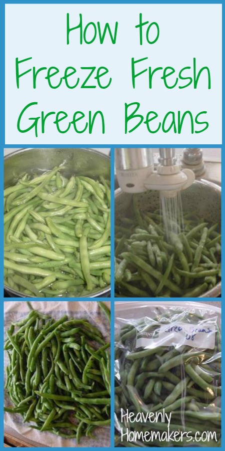 How to Properly Freeze Green Beans: 5 Effective Methods for Best Results in 2025