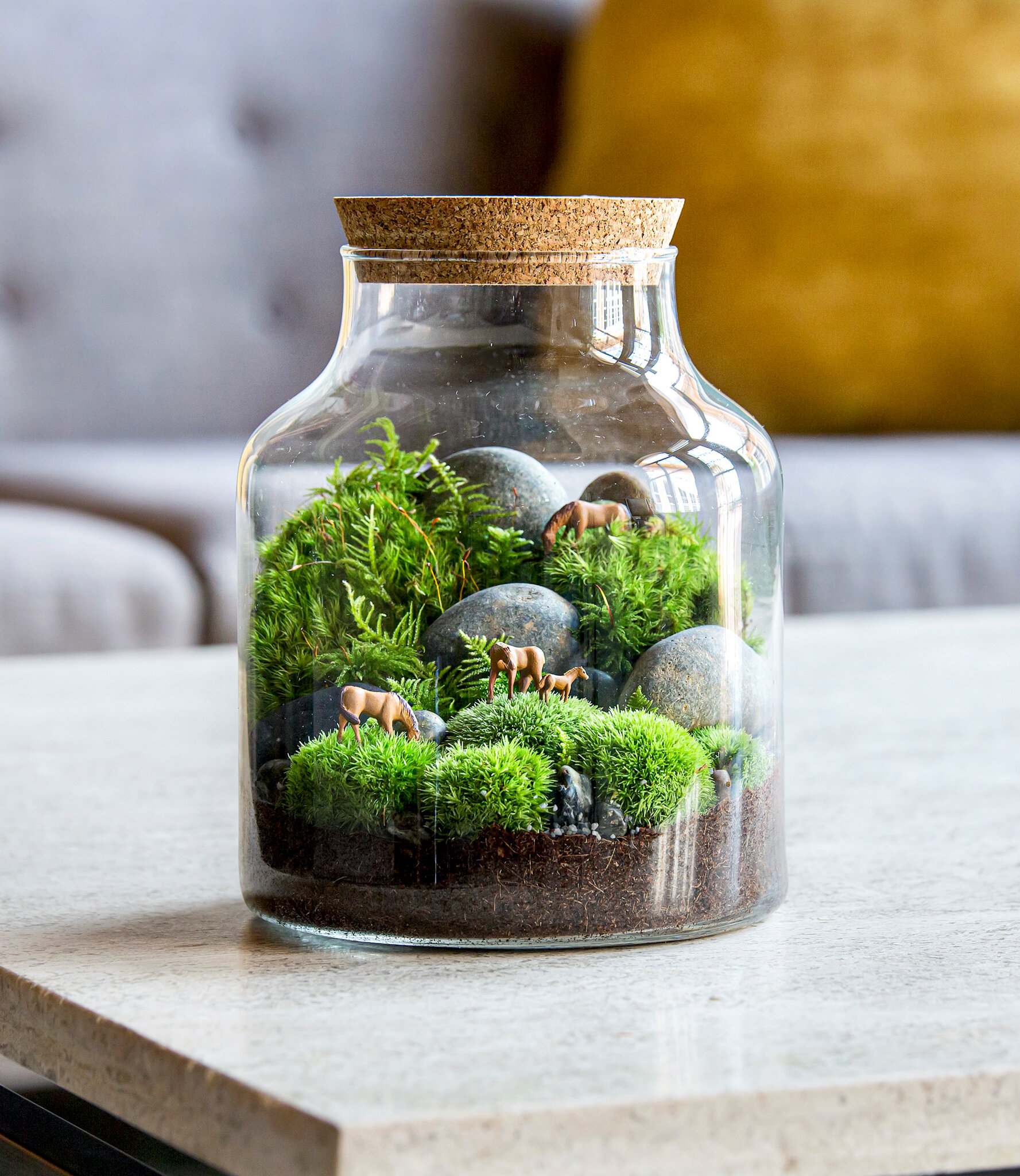 How to Create a Beautiful Terrarium: A Simple Guide for 2025