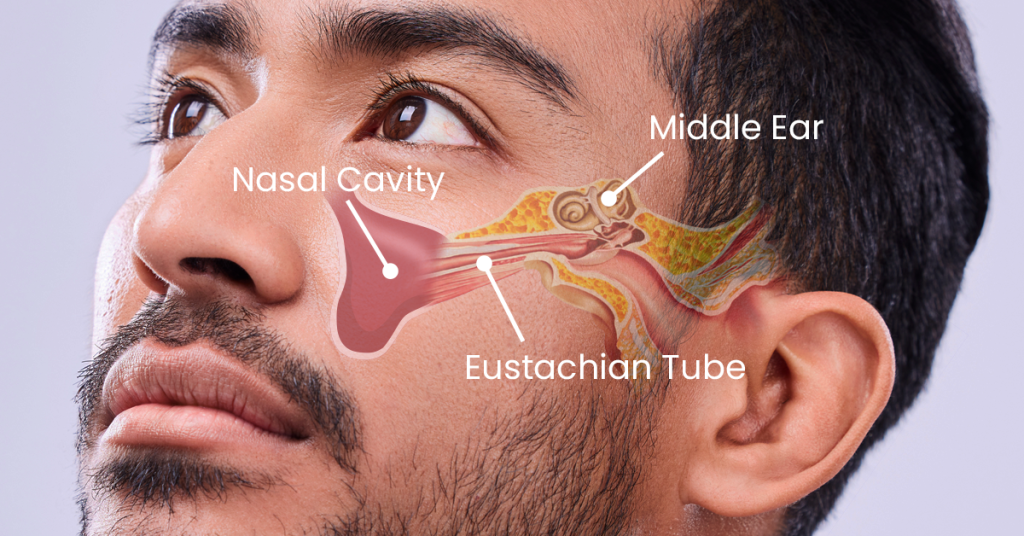 Effective Ways to Drain Ear Sinus Fluid: Essential Methods for Relief in 2025