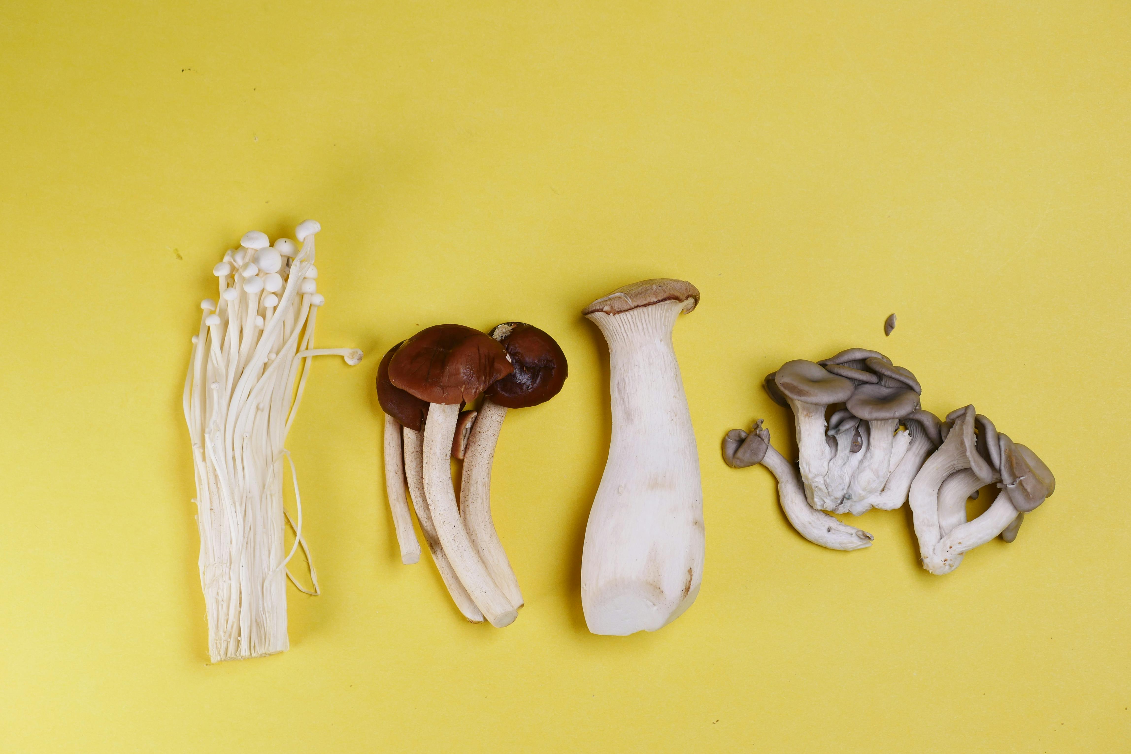 Modern Techniques for Cleaning Mushrooms